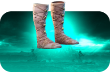 Tumbler Shoes Artifact